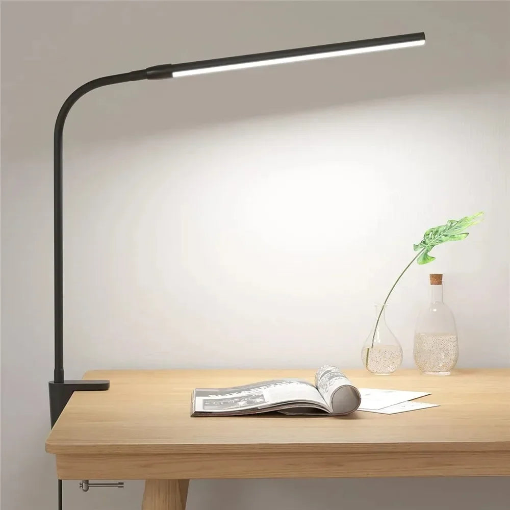 Double-Head LED Desk Lamp