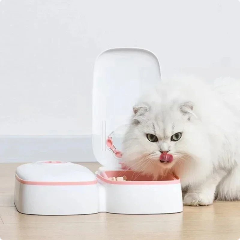 Automatic Single Meal Pet Feeder