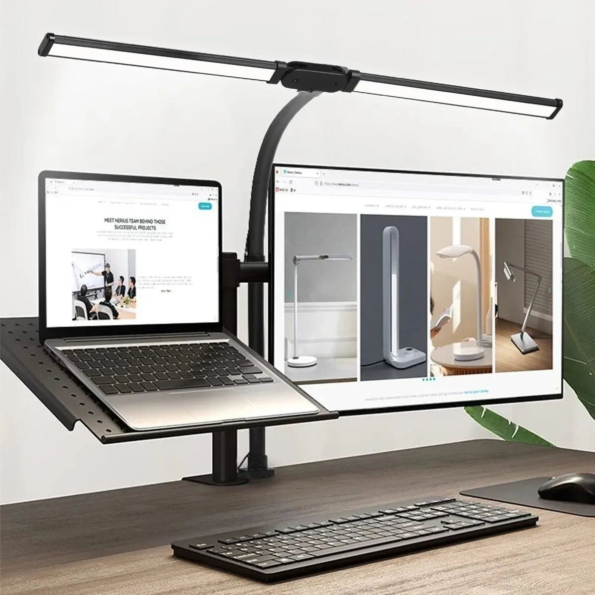 Double-Head LED Desk Lamp
