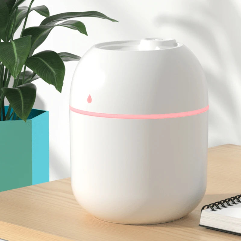 Mini USB Humidifier