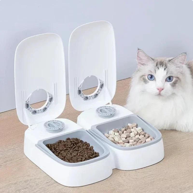 Automatic Single Meal Pet Feeder