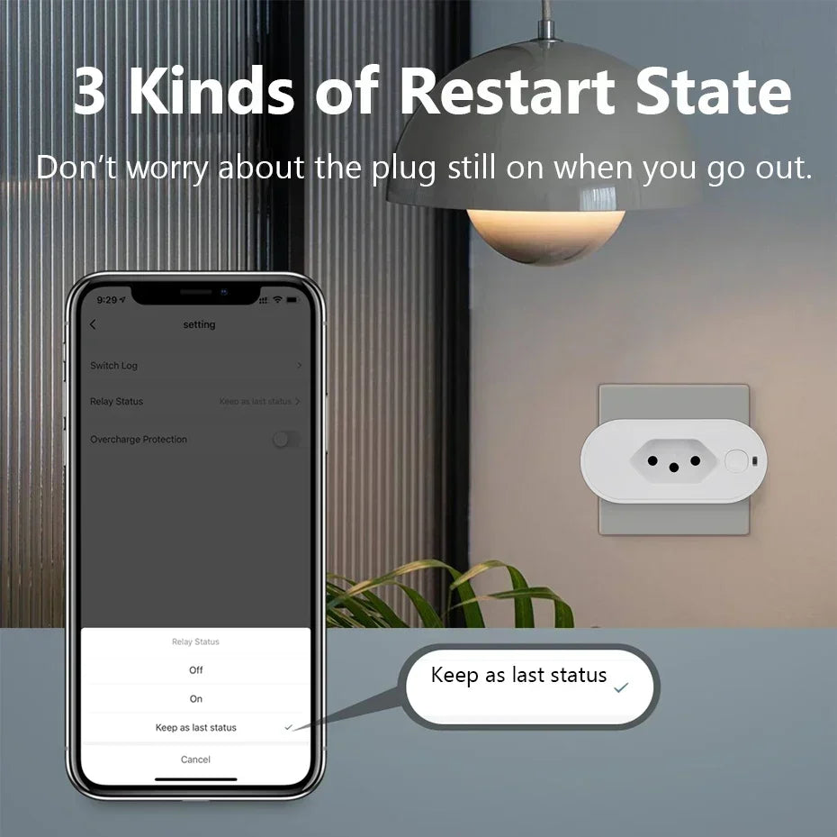 WiFi Smart Plug – 16A / 220V with App &amp; Voice Control