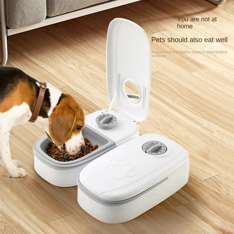 Automatic Single Meal Pet Feeder